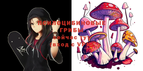 прущий лед Алексин